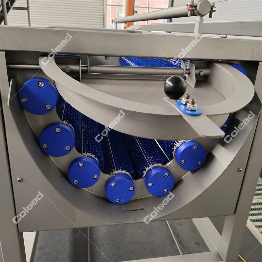 Automatic industrial ginger washing and peeling machine potato cleaning machine