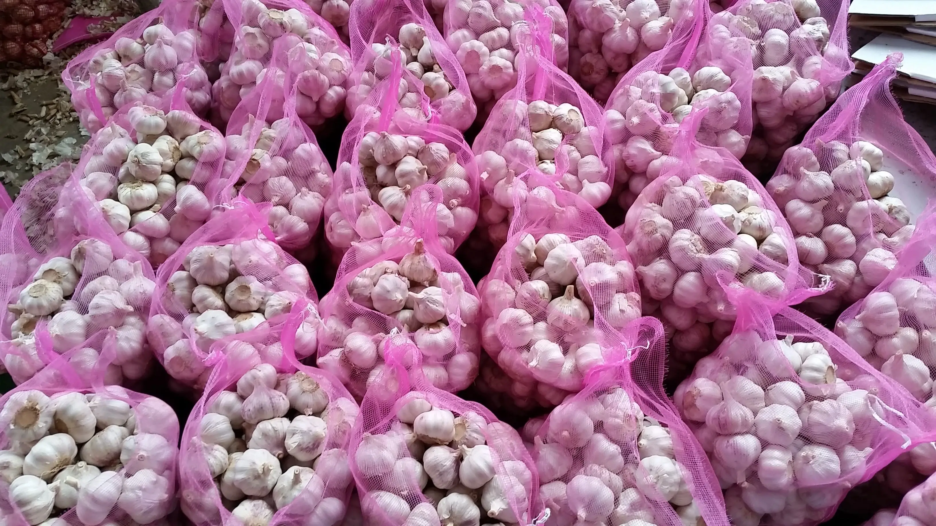 High Quality Fresh Import Garlic China Garlic Packing of Garlic