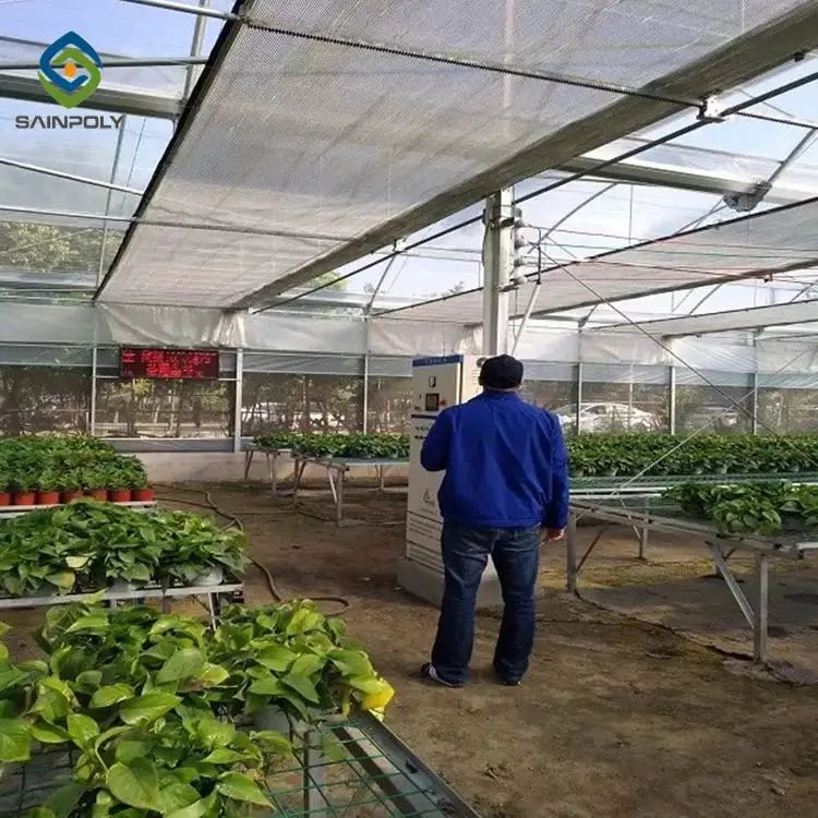 Sainpoly low cost multi span greenhouse Agricultural Equipment  autom 40x100 Film greenhouse for sale
