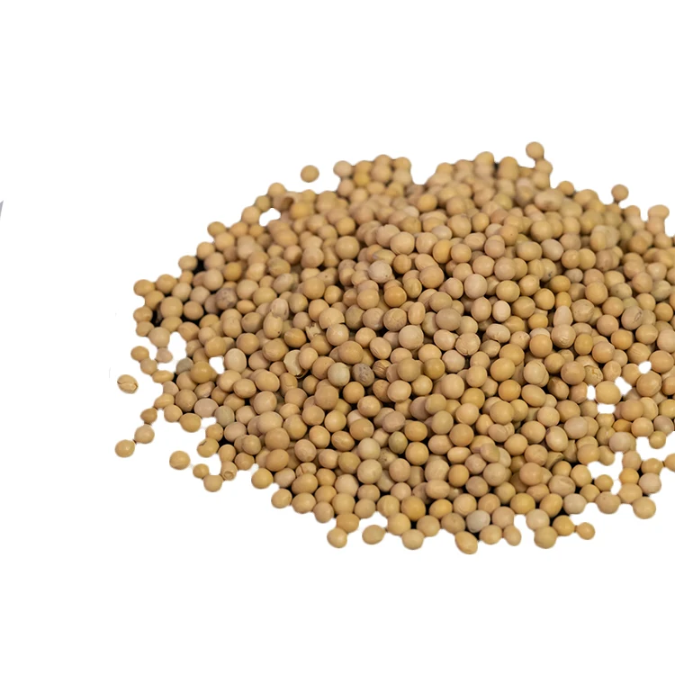 
Wholesale chinese high protein yellow soybean soya beans soy bean for sale 