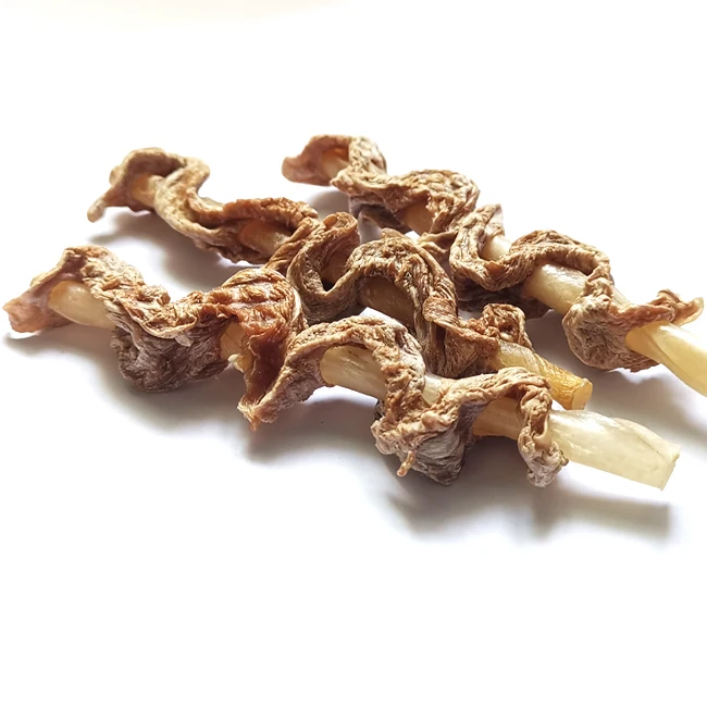 Wholesale Healthy Dog cat Treats and food Remove bad breath Duck and beef tendon skewers Pet Snacks