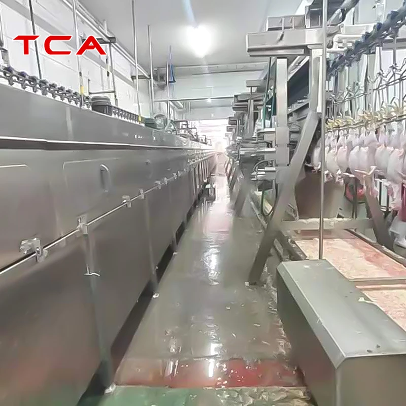 XDX Mini Poultry Slaughter Processing Plant For Sale