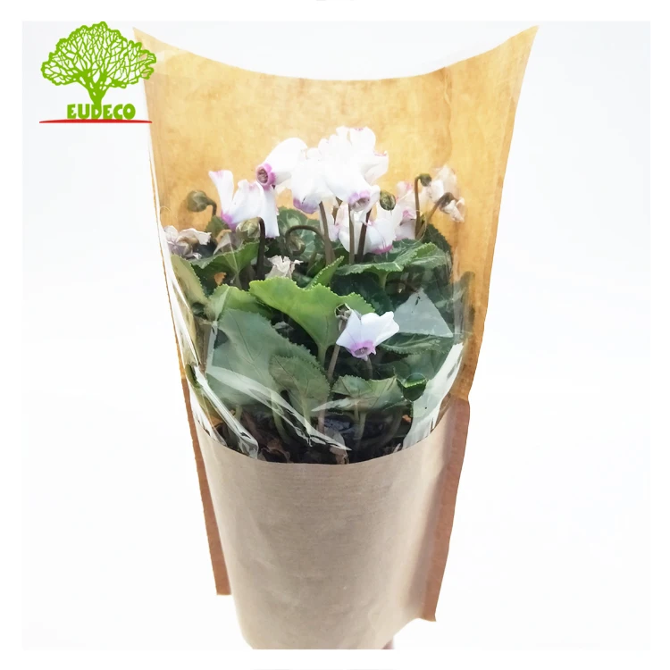FSC Certified Printed 3 Pieces Herb Kraft Paper Bopp Material Planter Pot Cover Flower Sleeves