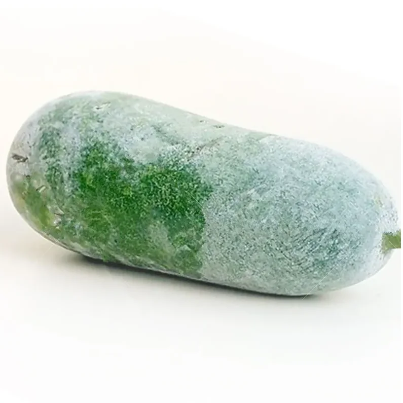 Wholesale Hybrid F1 Benincasa Hispida Seeds Taiwan Small Wax Gourd Winter Melon Vegetable Seeds For Planting