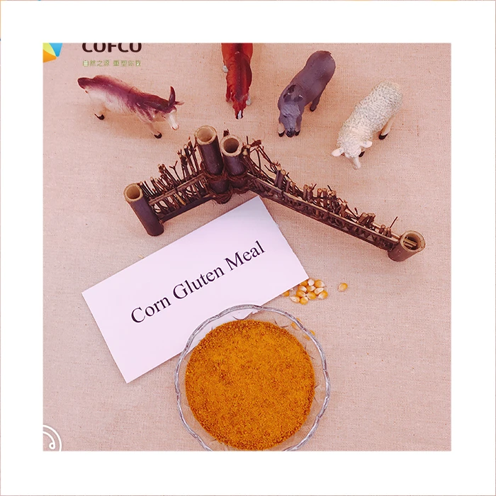 Corn Gluten Feed 60% Protein Corn Gluten Feed Protein Min For Animal Feed