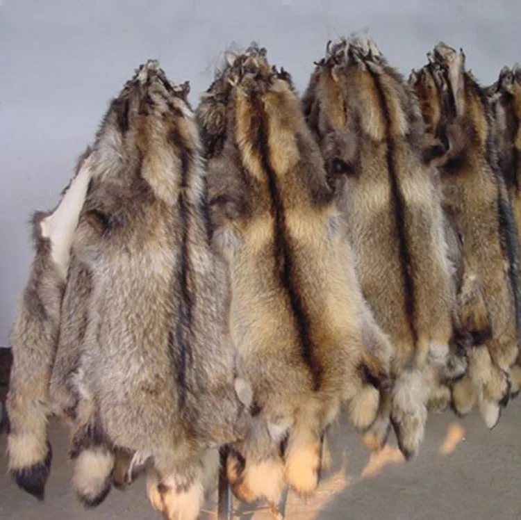 XJ Wholesale High Quality Super Soft Fluffy Large Natural Animal Pelt Real Raccoon Fur pelt raccoon fur materials