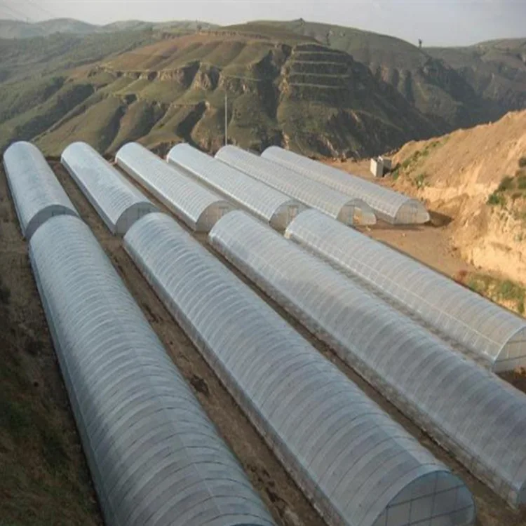 Agricultural polytunnel commercial tunnel greenhouse for mushroom tomato with hydroponic cooling system