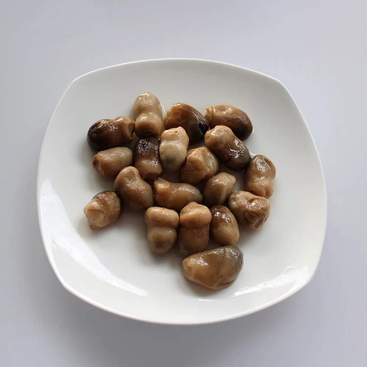 
Export Preferential Delicious Whole Straw Canned Mushroom 
