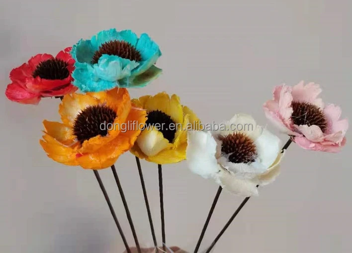 corn poppy flower.jpg