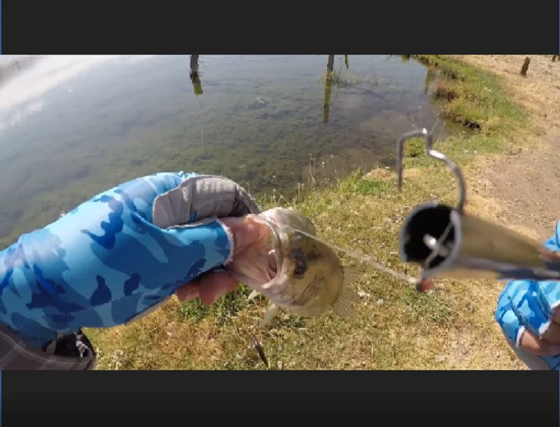 2020 New Amazon Trend Fishing Carp Accessory Fishhook Remover Tools Fish Hook Remover Squeeze Tool