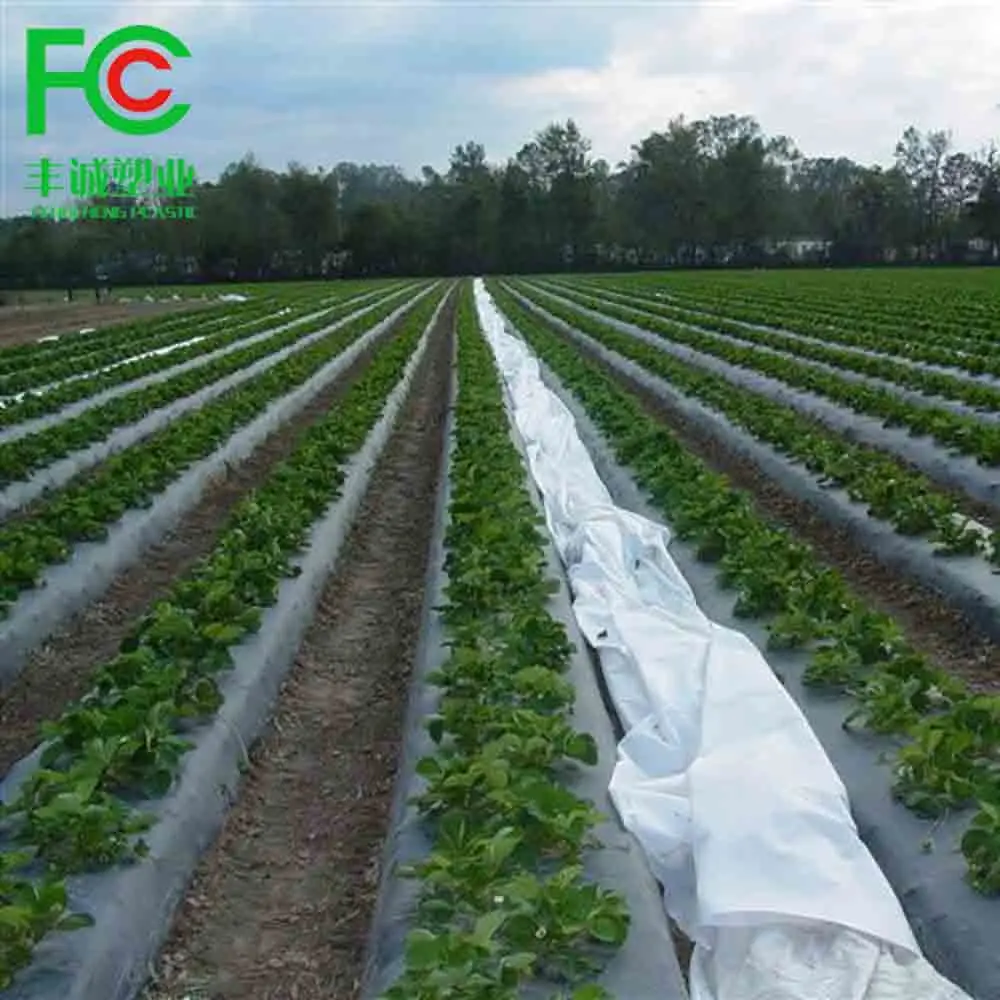 Spunbond Non Woven Agriculture Plant Cover Frost Protection Nonwovens
