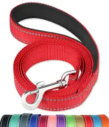 Advanced Easy Snap Hook 2 Comfortable Padded Handles Heavy Duty Dog Leash for Large Medium Small Breed Dogs