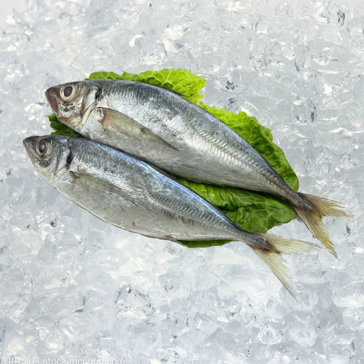 Замороженная круглая лошадиная скумбрия рыба