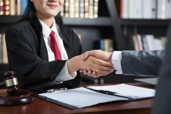 lawyer lawsuit and legal consultant