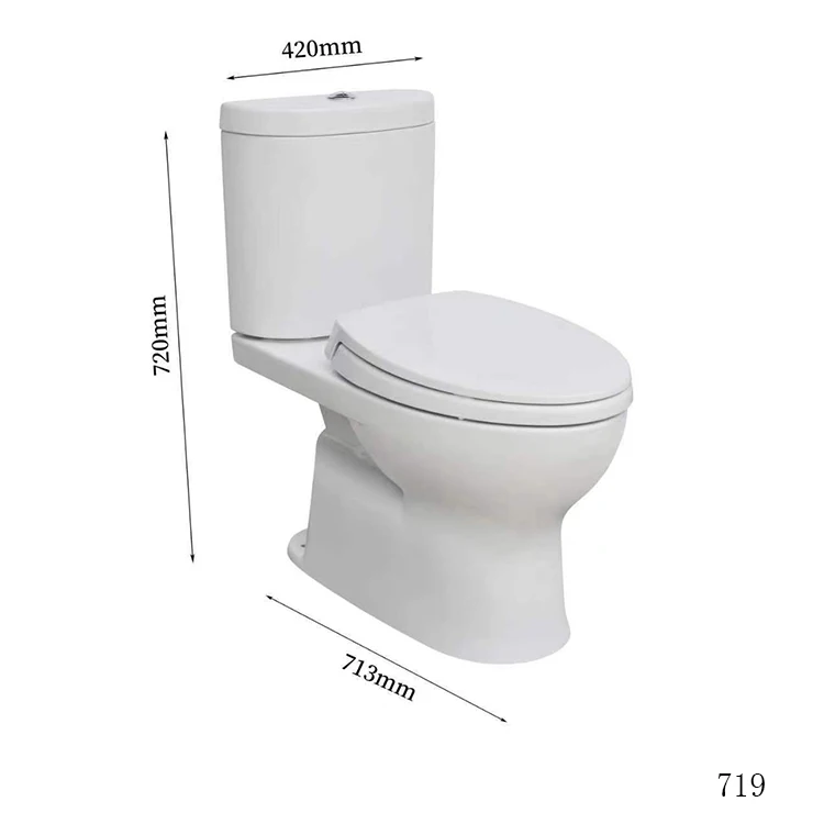 SAMIYAH Wc Single Flush Sitting Water Closet Floor Mounted Siphonic Water Ceramic Toilet Bowl With Soft Closing Seat Cover