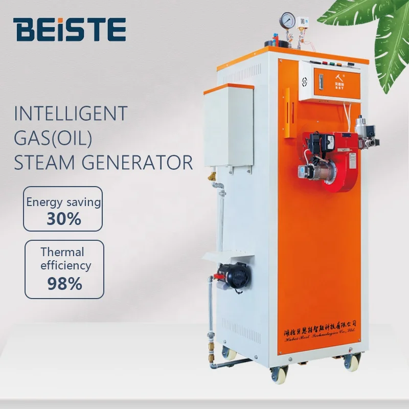 Beiste steam boiler 200 kg per hour 80 kg/h  gas fired boiler 200kg lpg steam generator for  autoclave