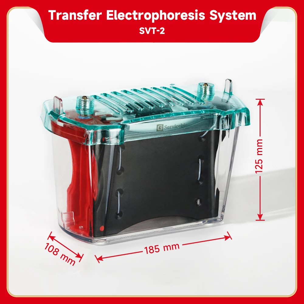 Mini Transfer Electrophoresis Systems Agarose Gel Electrophoresis Apparatus Gel Electrophoresis Equipment From Factory