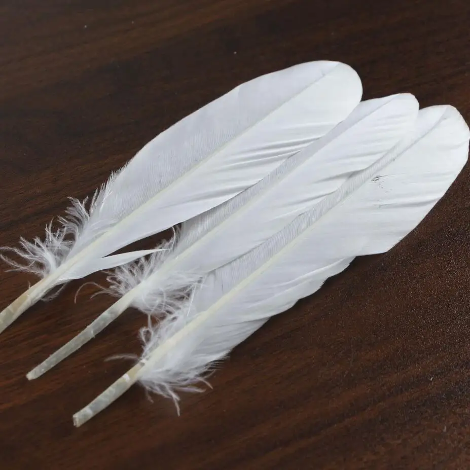 Bulk soft white duck feather China Feather Manufacturer Direct Sale Indonesia Curved Feathers