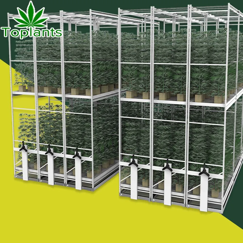 Indoor Vertical Hydroponic Plant Growing Greenhouse System
