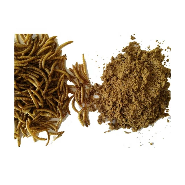 
High protein Mealworm Powder Insect Cricket Powder 