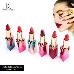 Fashion Modelling New Arrived Make Your Own Custom Lip Gloss Matte Liquid Lipstick
