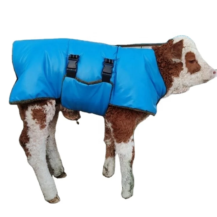 Calf Cloth  Calves winter Cloth