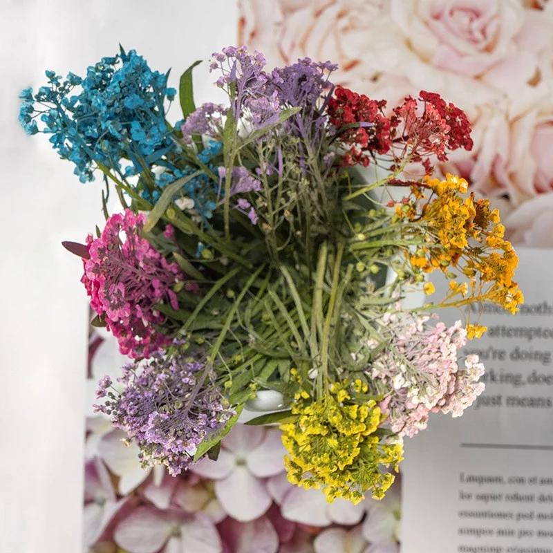 Wholesale dried Lobularia maritima embossed sweet alyssum pressed flower for DIY Phone Case Nail Art Jewelry Postcard decoration