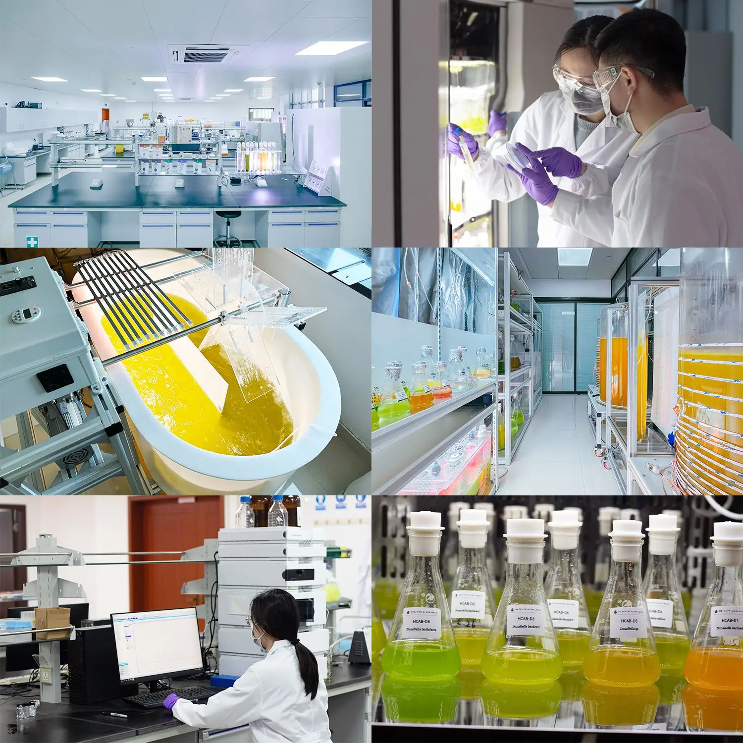 OEM high quality Spirulina and Chlorella organic Chlorella Spirulina tablets