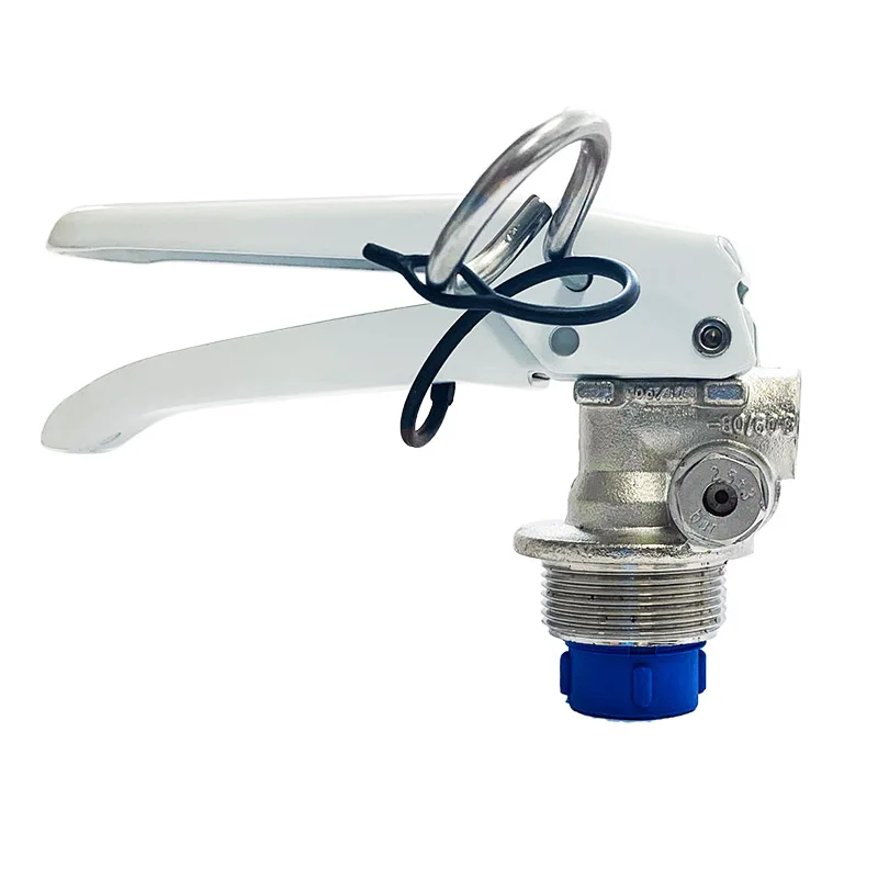 CE Certified Valve Safety Device Dry Powder Fire Extinguisher Safe