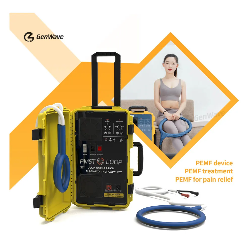 Portable Pemf Magnetic Therapy Device Pmst Loop Human Pain Relief Machine Physical