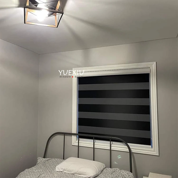 Blackout Smart Home Decor Window Shades Fabric Double Strip Horizontal Alexa Electric Curtain Motorized Zebra Roller Blinds