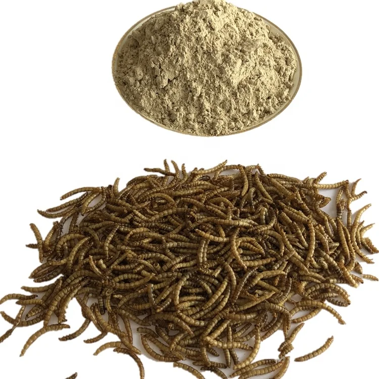 High Protein Customised Birds Food for Fishes Reptiles in Bags 100g Factory Directly Supply  mealworm superworm