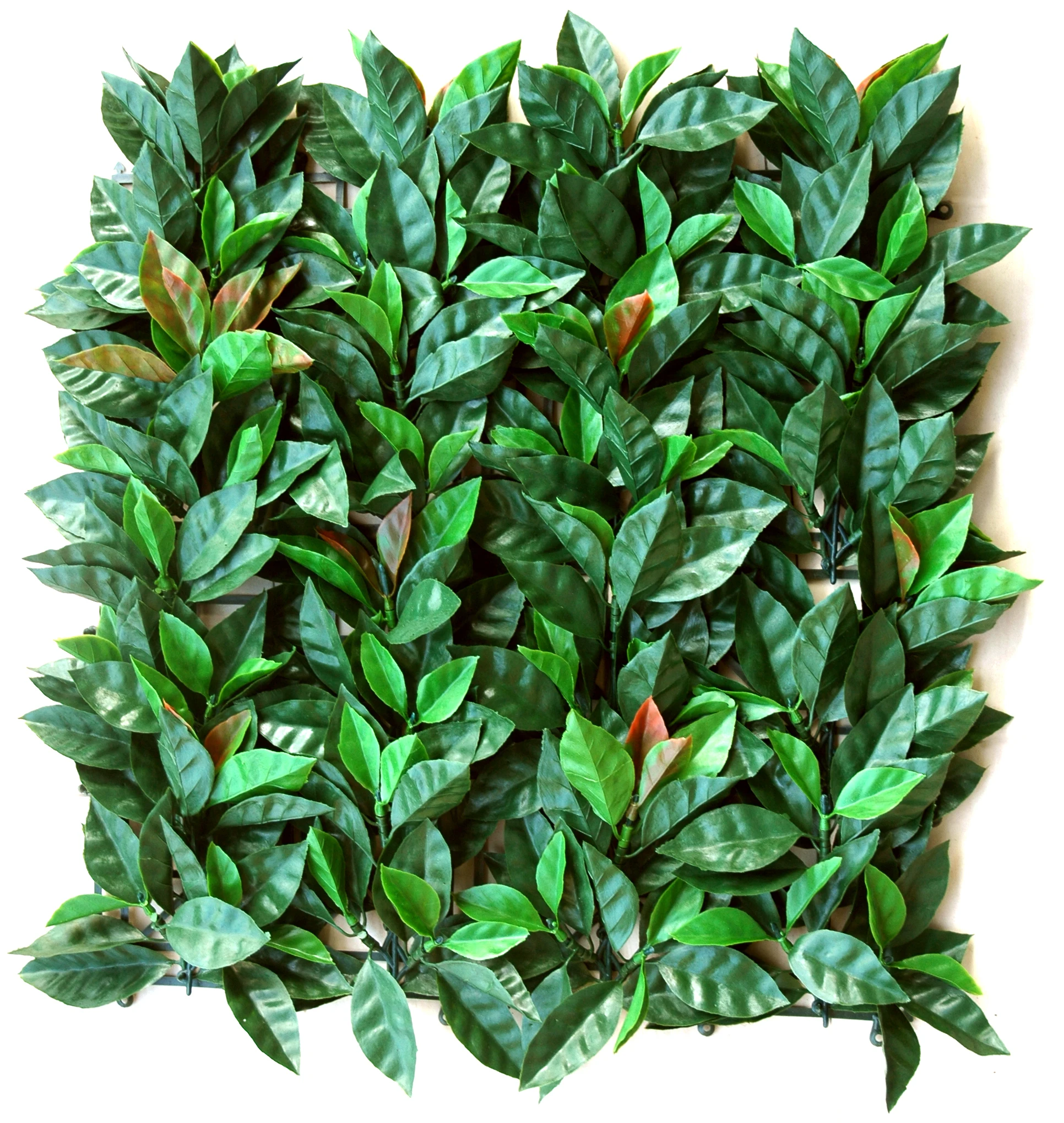 Garden outdoor MZ188001A decoration uv resistant green artificial box hedge wall