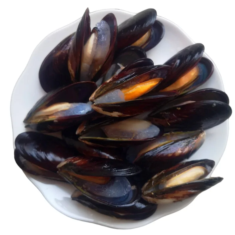 China seafood manufacturers, suppliers , exporters on frozen boiled mussel meat
