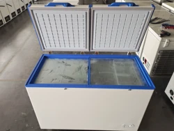 AC/DC horizontal 268 liters ice cream ice lolly fish chicken beef double door double room solar fridge chest freezers