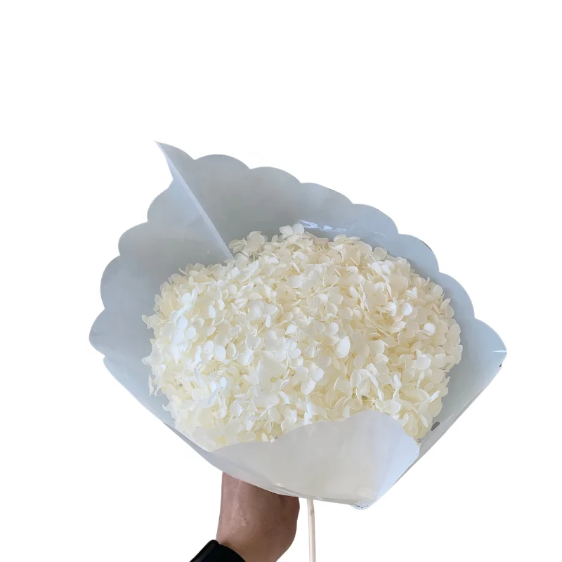 Ins Hot Preserved Dry Preserved Anna Hydrangea Real Flower Preserved Anna Hydrangea Stem Wholesale