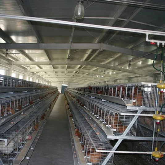 Automatic A Type Chicken Layer Rearing Cage for Fully Closed Poultry House for Chicken Farms