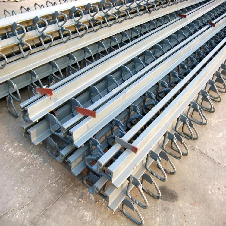 
China Supplier Ruida Modular/Elastomer Rubber/TST Bridge Expansion Joint 