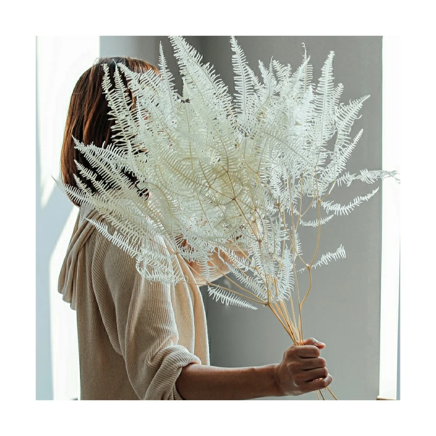 High Quality Preserved flower Asparagus Myriocladus Tiki fern as Christmas decorations