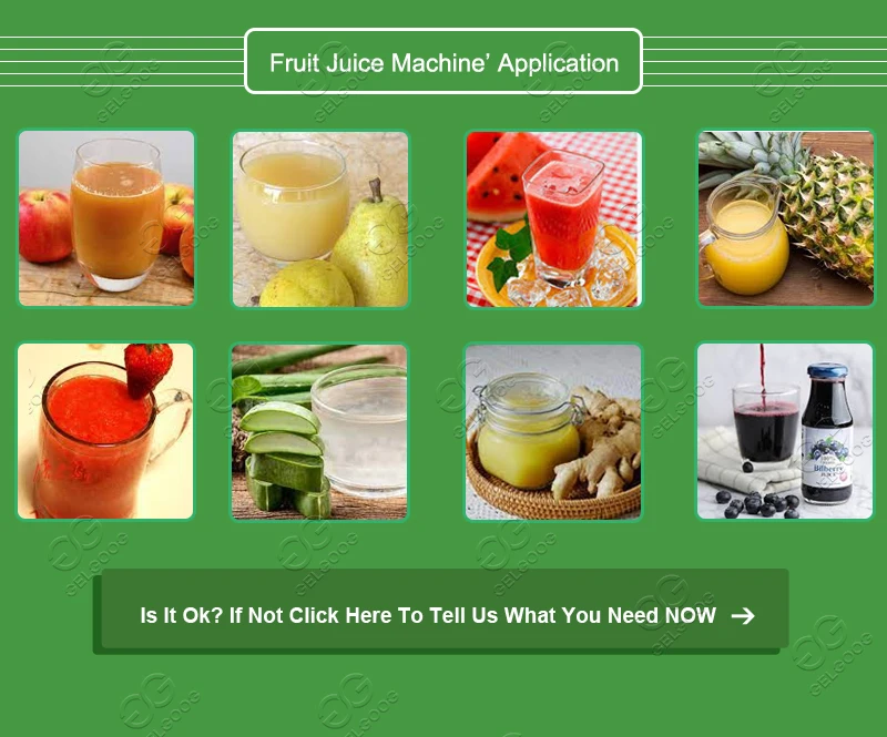 Commercial Watermelon Juice Making Machine|Watermelon Juice Extractor