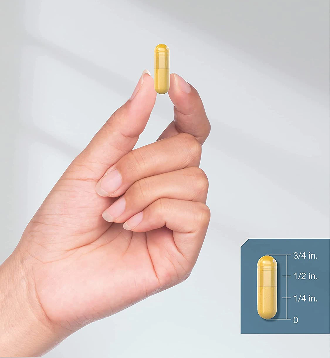 100% pure Non-GMO & Gluten Free Ox Bile 1000 mg Capsules Digestive Enzymes Supplement for digestive assists