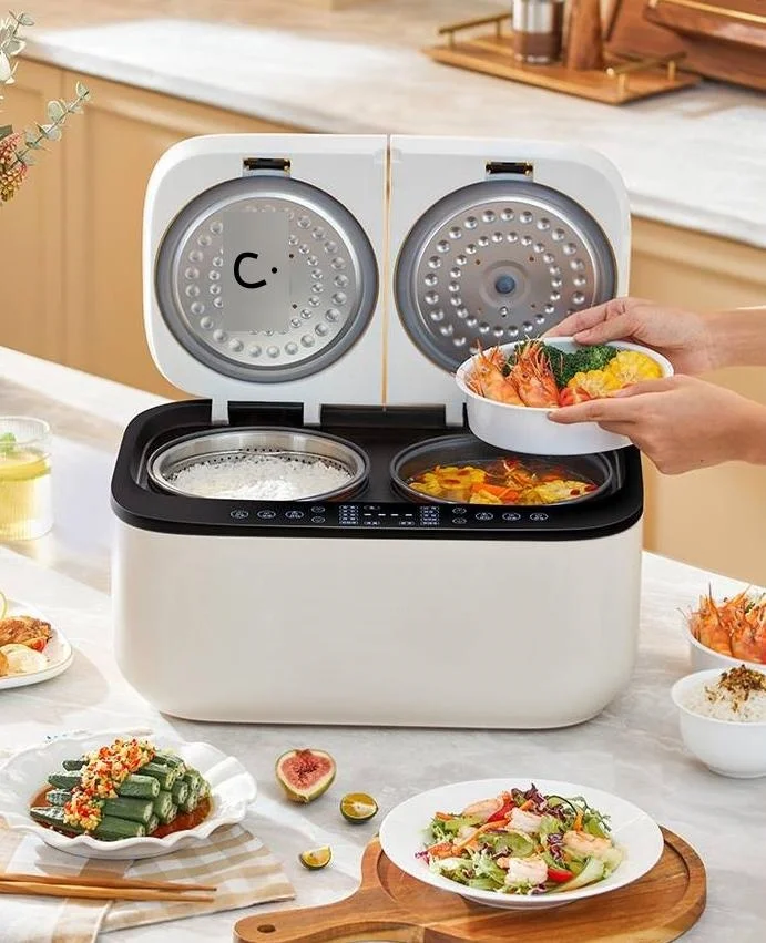 High quality factory direct 2-in-1 5L non-stick double pot Fast cooking commercial multifunctional voltage pot