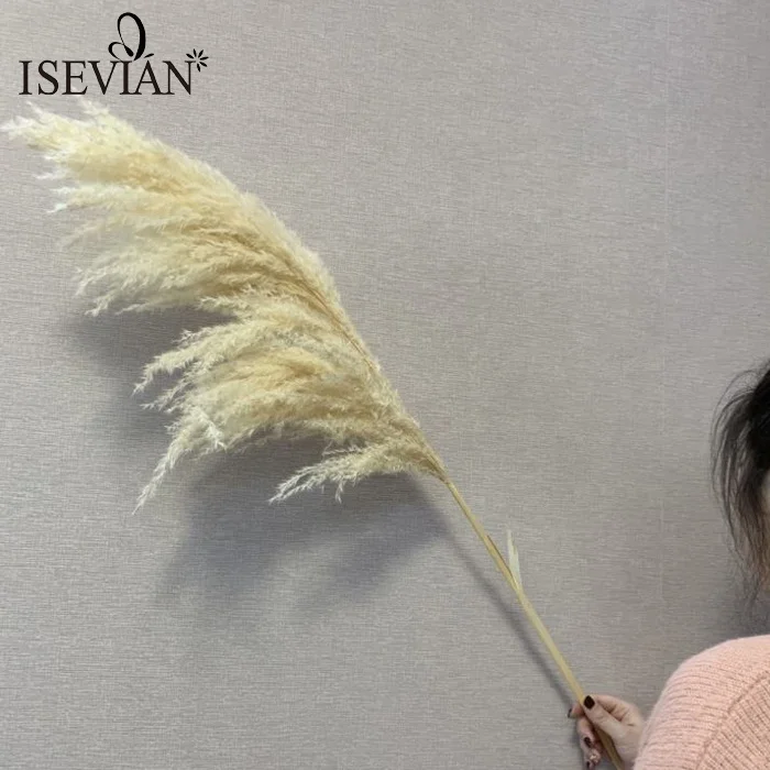  ISEVIAN Свадебный арочный сушеный пампасный цветок свадебный Декор Цветок центральный элемент перо трава сушеные