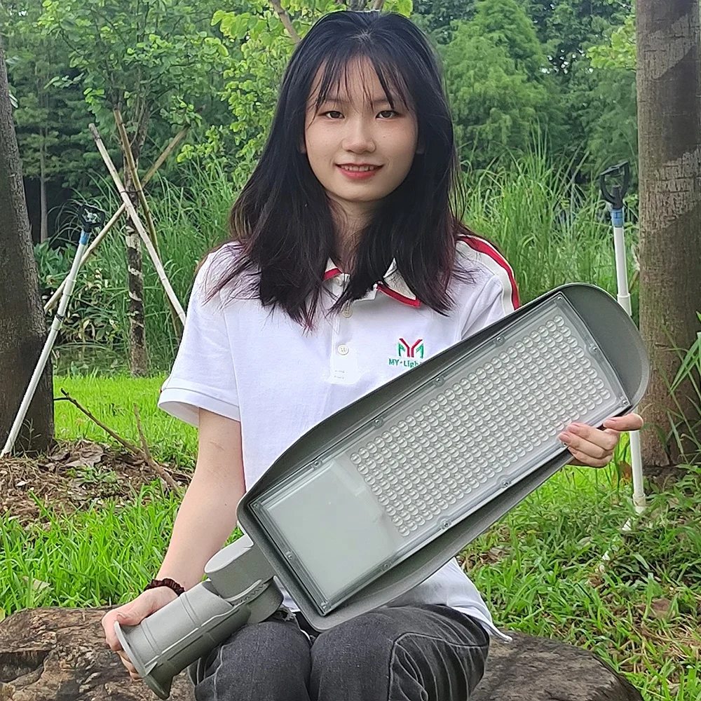 IP65 Waterproof Aluminum Outdoor 100lm/w LED Street Light AC Power Supply for Road Lighting