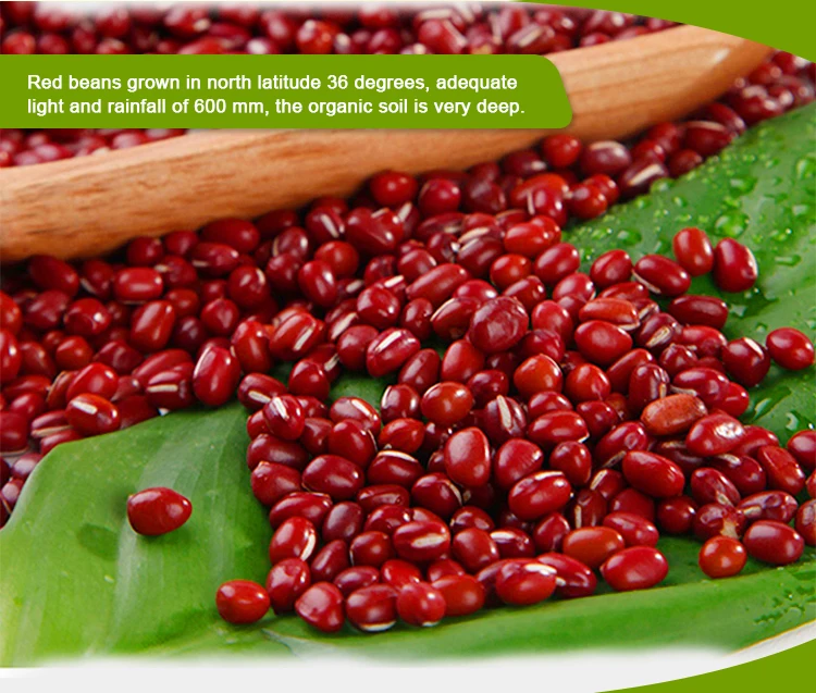 Adzuki bean маленькая красная фасоль по лучшей цене для пищевой фабрики