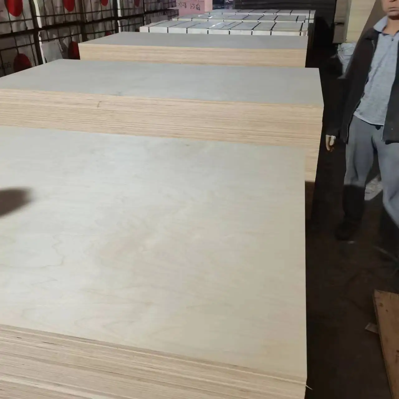 Factory 1220*2440mm Full Birch Plywood Sheet 16mm Birch Plywood Panel For Furniture