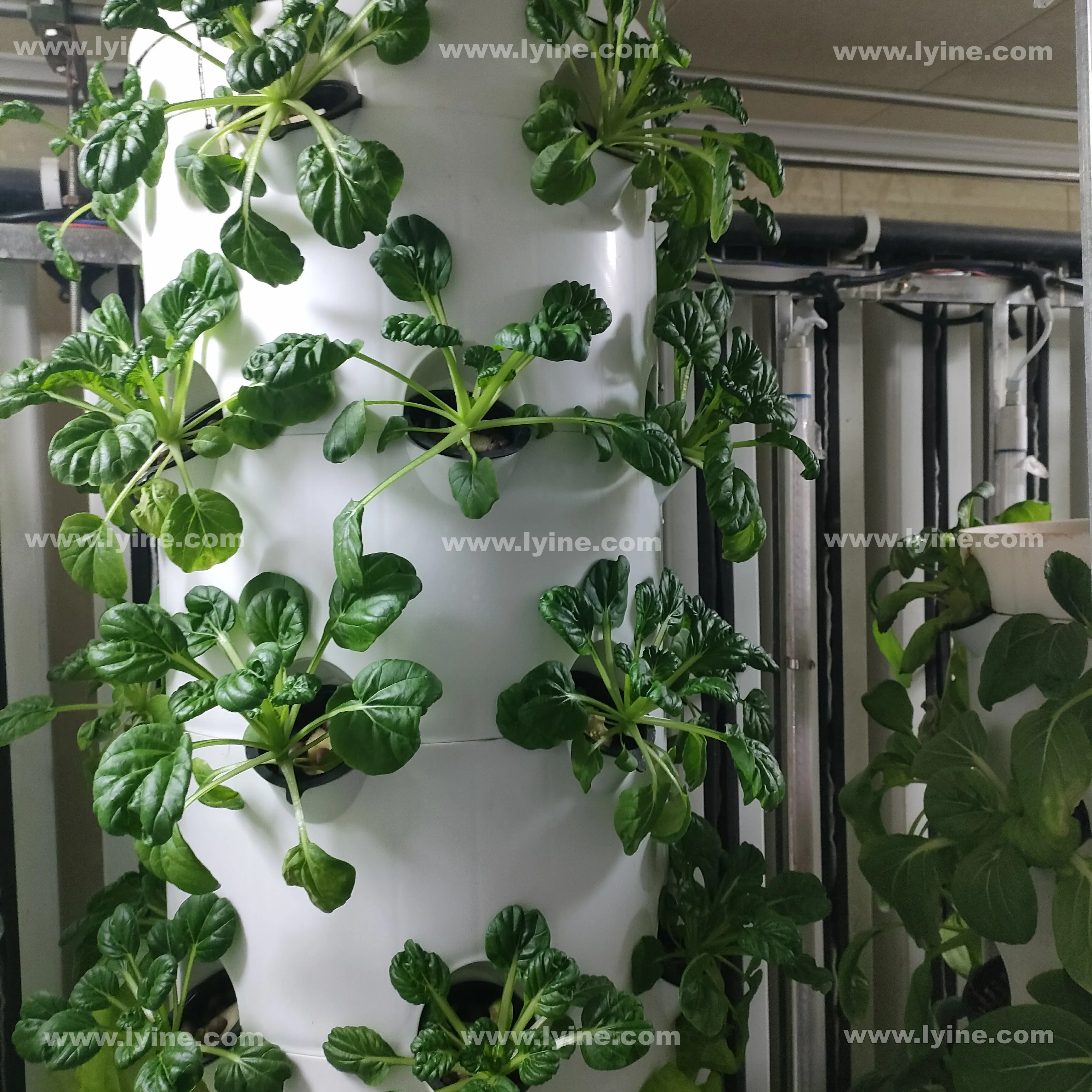 New design Garden vertical farming family use mini indoor hydroponic aeroponic growing tower for strawberry