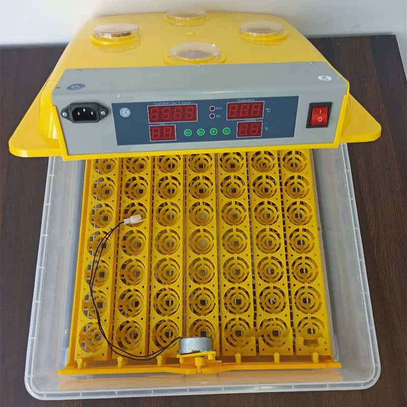 hatch Duck Goose Quail Peacock Ostrich Egg Poultry eggs break broken out of the shell incubators fertile hatching eggs