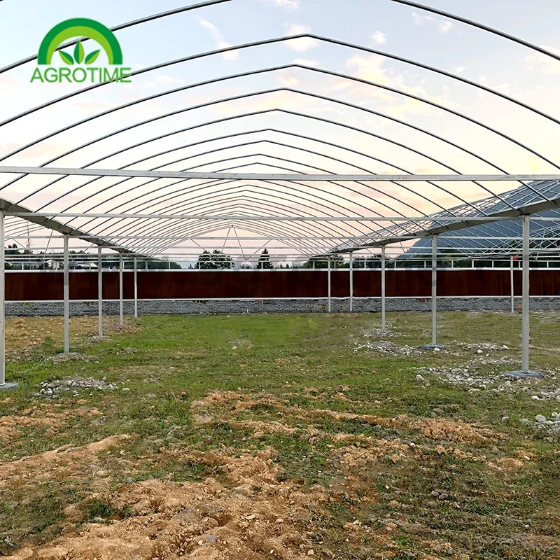  Chinese project hot sale commercial agriculture multi span hydroponic greenhouse glass green house for