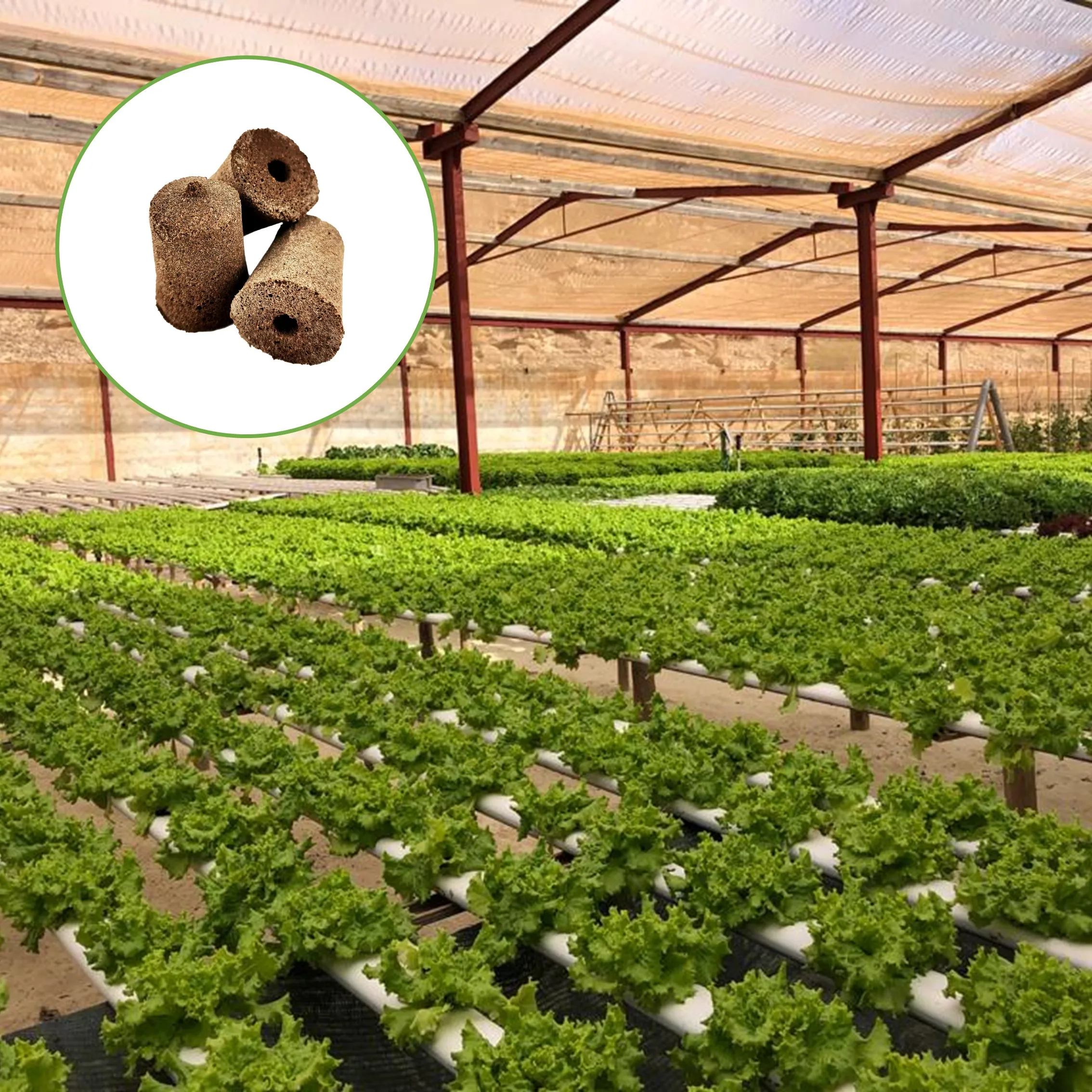 2 Inch Grow Sponge Seed Starter Plug For Hydroponic Home Garden Indoor Smart Grow System Seedling Tray Potting Soil